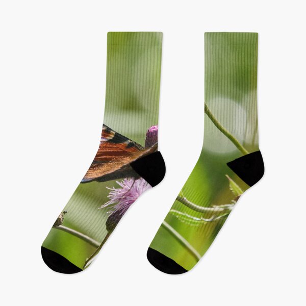 Item preview, There are different kinds of peacocks. European peacock designed and sold by Jouko Lehto Photography.