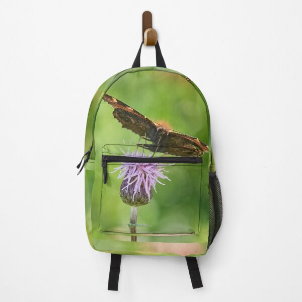 Item preview, Sweet dreams. European peacock designed and sold by Jouko Lehto Photography.