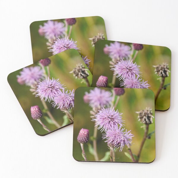 Item preview, On the fields today. Creeping thistle designed and sold by Jouko Lehto Photography.