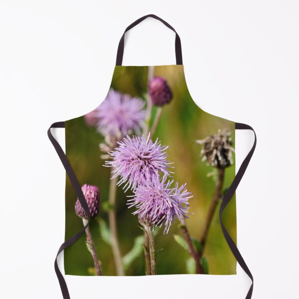 Item preview, On the fields today. Creeping thistle designed and sold by Jouko Lehto Photography.