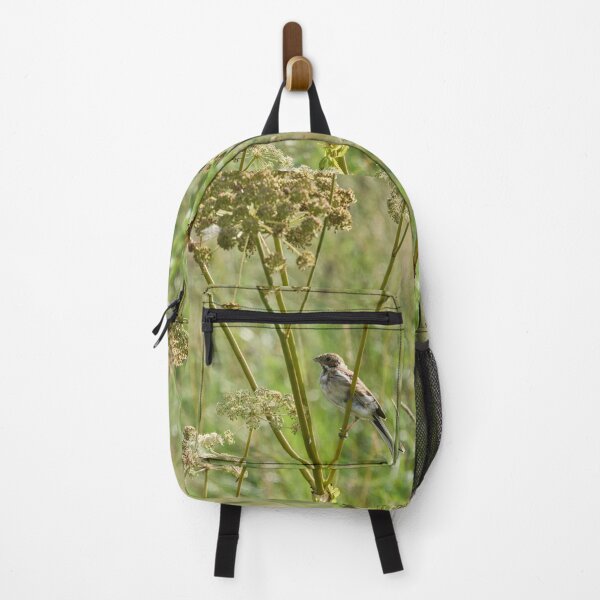 Item preview, Summertime. Common reed bunting designed and sold by Jouko Lehto Photography.