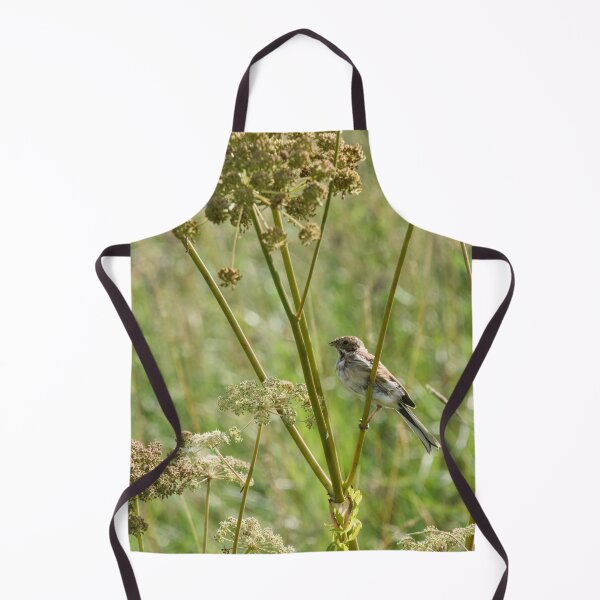 Item preview, Summertime. Common reed bunting designed and sold by Jouko Lehto Photography.