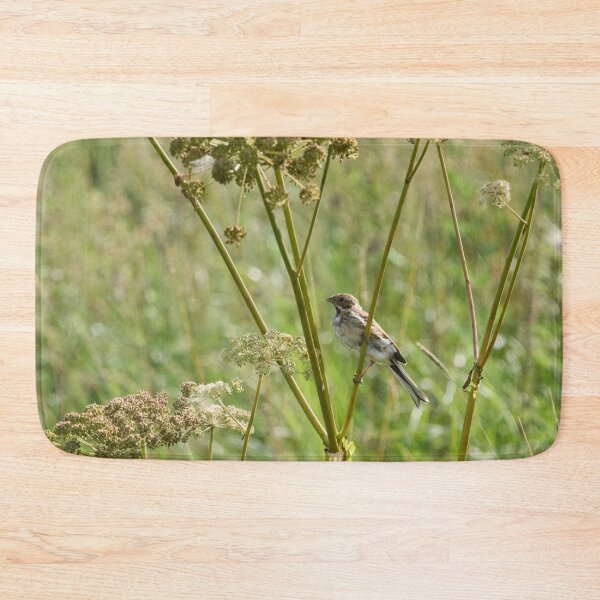 Item preview, Summertime. Common reed bunting designed and sold by Jouko Lehto Photography.