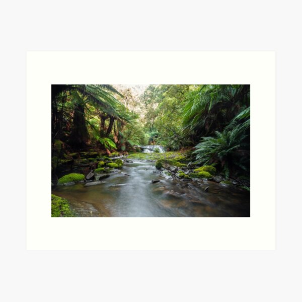 Item preview, Otways River  designed and sold by timmyvincent.