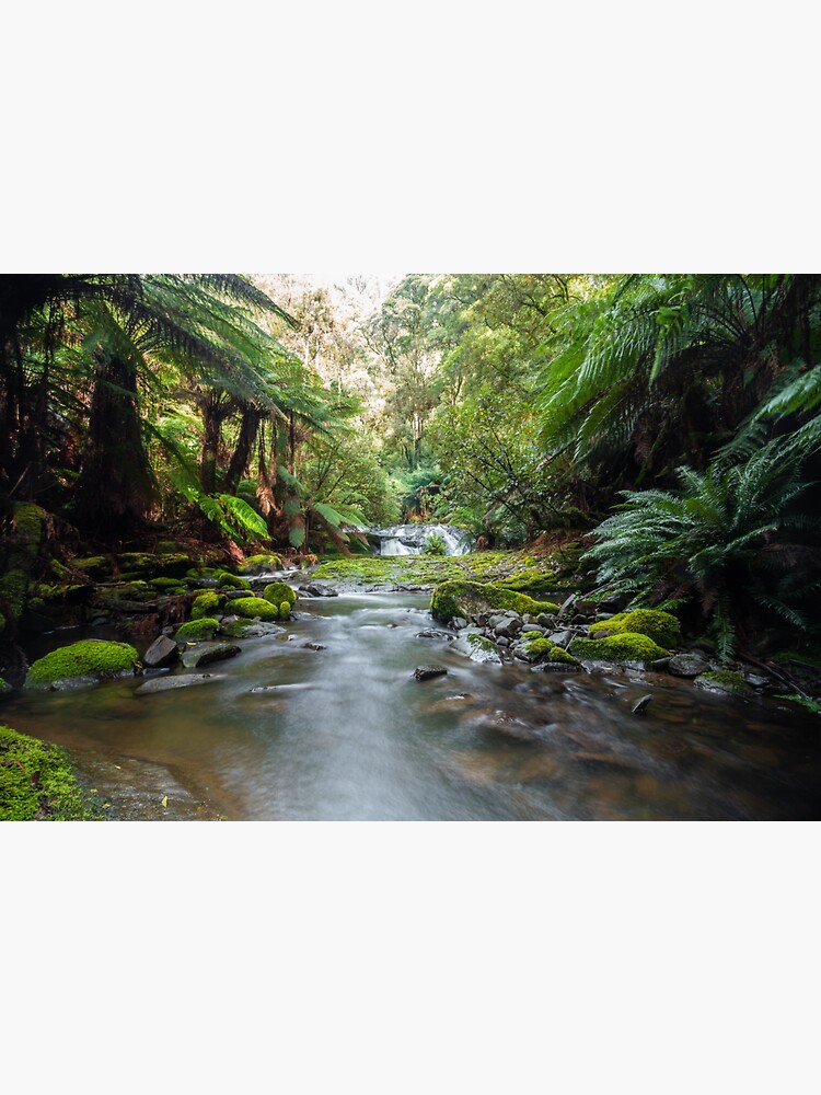 Thumbnail 3 of 3, Sticker, Otways River designed and sold by timmyvincent.