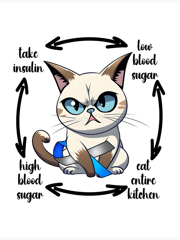 Kitten low 2024 blood sugar