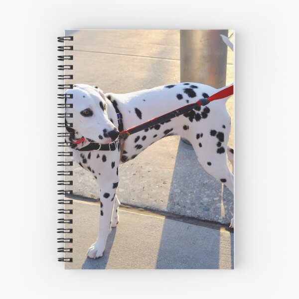 Item preview, Dalmation designed and sold by laurafay.
