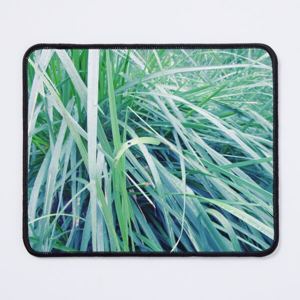 Item preview, Green blue wild grass landscape | Green blue wild grass art photography designed and sold by lausn.