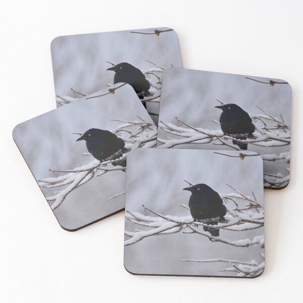 Item preview, A common grackle in the garden designed and sold by Claude Laprise.