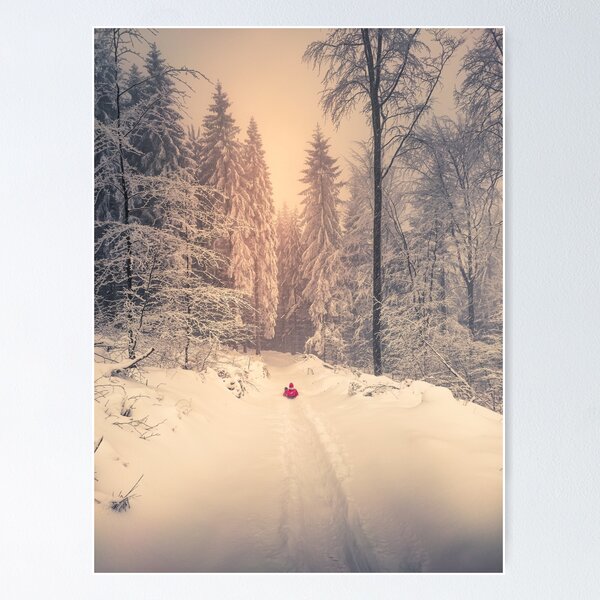 Snow in the mountains and sledding fun Poster