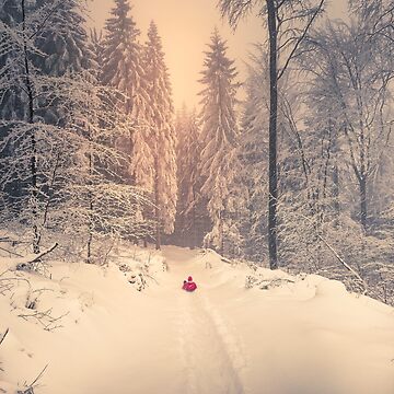 Artwork thumbnail, Snow in the mountains and sledding fun by picdab-com