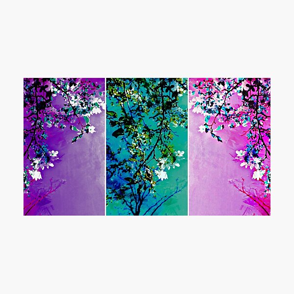 Tryptich: Spring Synthesis Photographic Print