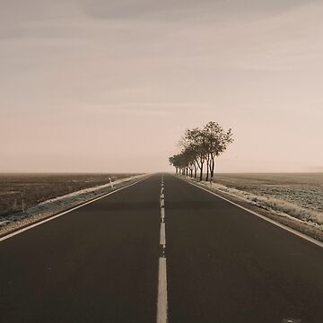 Artwork thumbnail, Empty road with no cars with trees in the roadside by picdab-com
