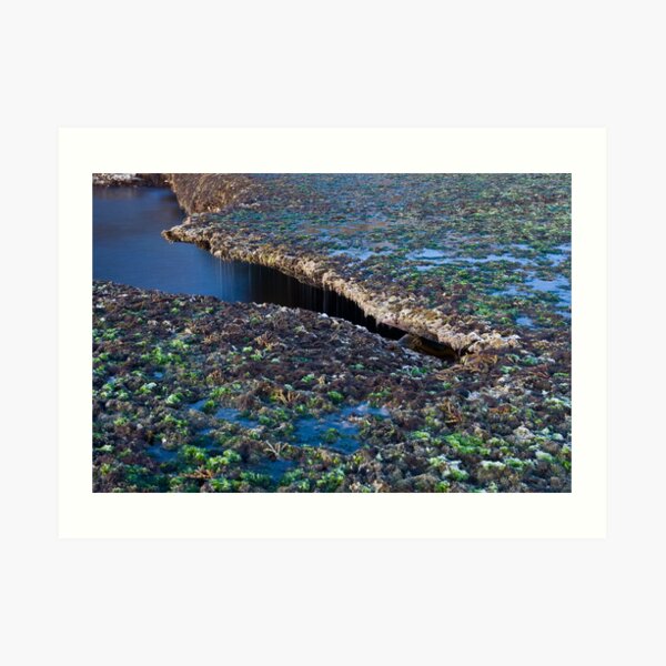 Pearse's beach detail Art Print