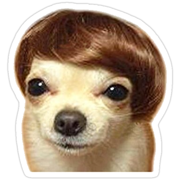  Wig Dog Meme Stickers  by josiepie Redbubble