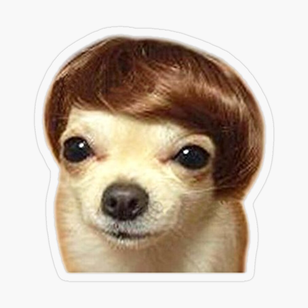 Wig Dog Meme Sticker