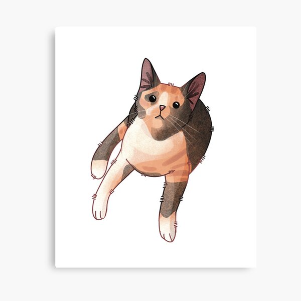 Kaliko katze Leinwanddruck