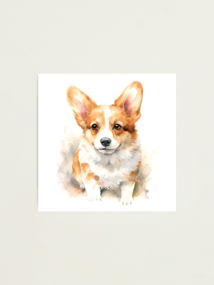  (Lovely Corgi and Paw Footprint Pattern) Patterned