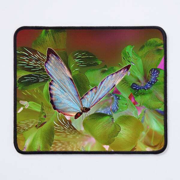 Item preview, Invert Nature designed and sold by Looly Elzayat.