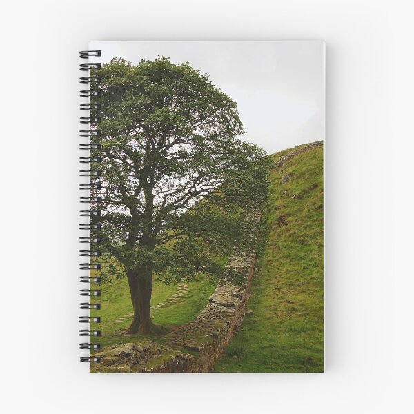 Item preview, The Sycamore Tree designed and sold by D-GaP.