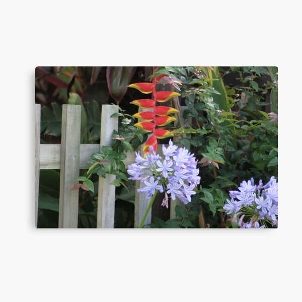 Garden 2009 Canvas Print