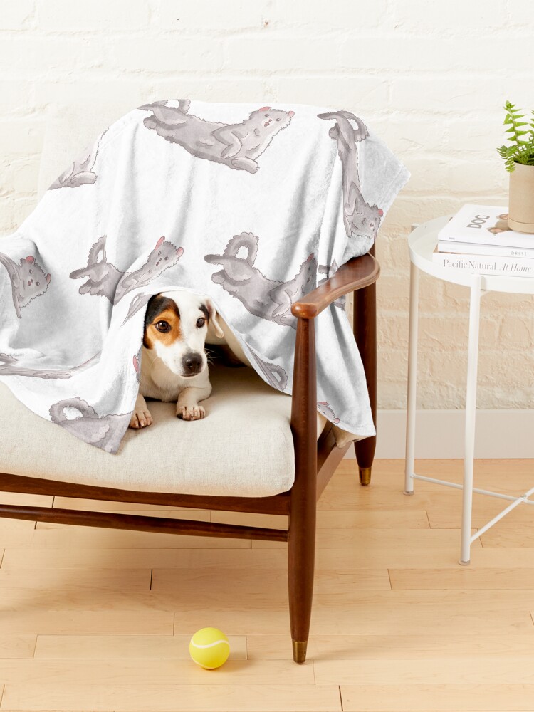 Thumbnail 4 of 6, Pet Blanket, White american curl designed and sold by FelineEmporium.
