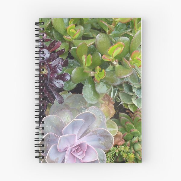 Item preview, Penn State Arboretum Cactus designed and sold by clizzio.