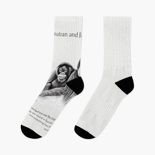 Item preview, Orangutan - Endangered Species - Sumatran and Borneo designed and sold by IguaranDesign.