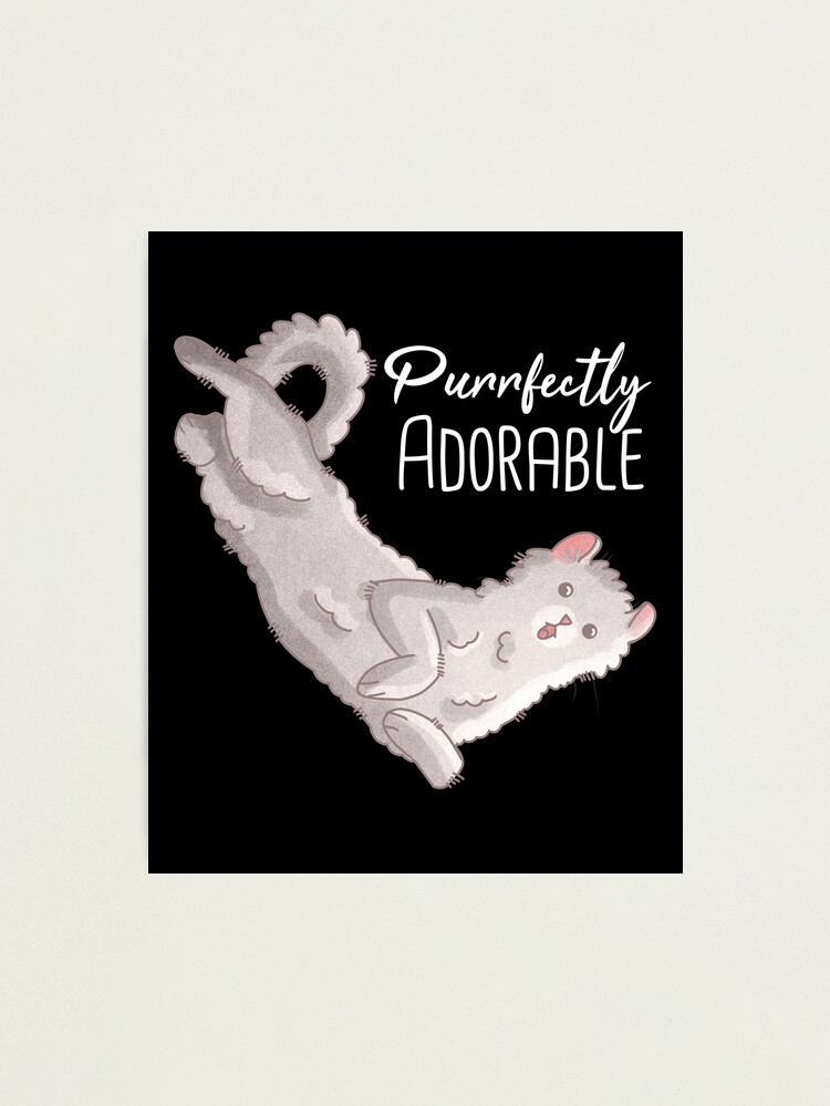 Thumbnail 2 of 3, Photographic Print, Purrfectly Adorable - White American Curl designed and sold by FelineEmporium.
