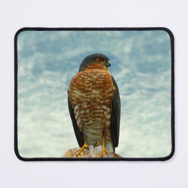 Item preview, Sparrow hawk designed and sold by Guardi71.