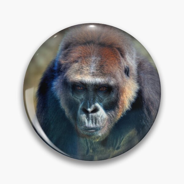 Item preview, Gorilla  designed and sold by Savannah Gibbs.