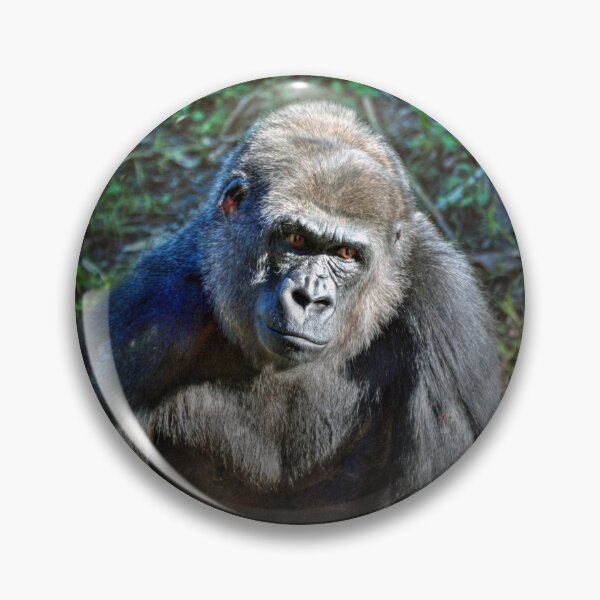 Item preview, Gorilla  designed and sold by Savannah Gibbs.