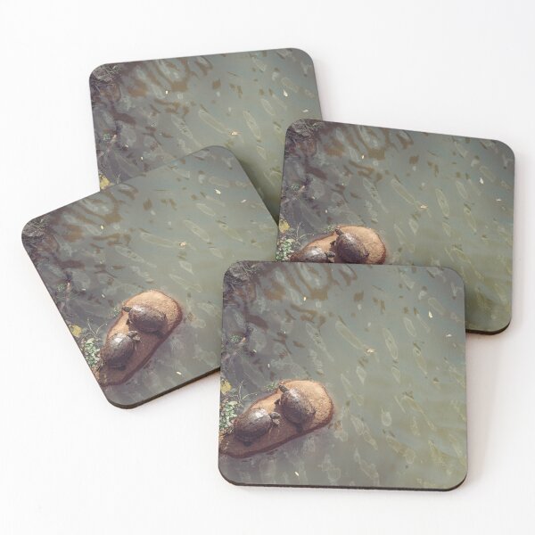 Item preview, Tortoise laying on the rock  at the lake designed and sold by dankomarcha.