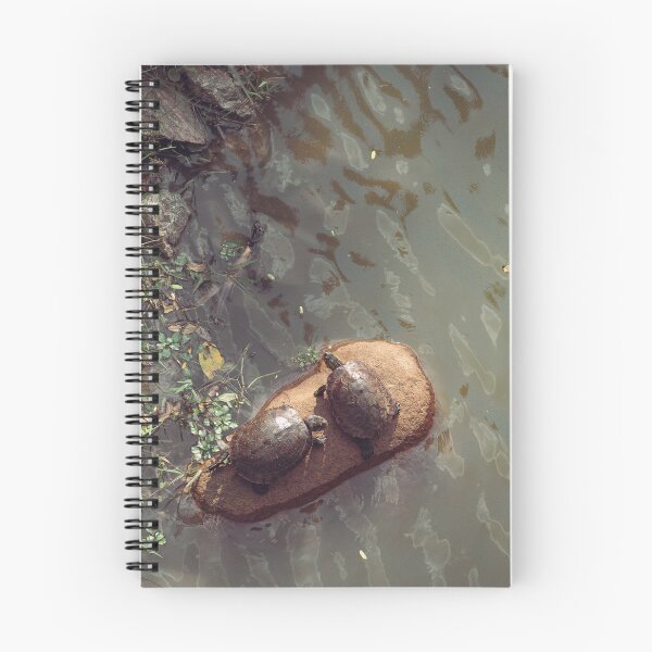 Item preview, Tortoise laying on the rock  at the lake designed and sold by dankomarcha.