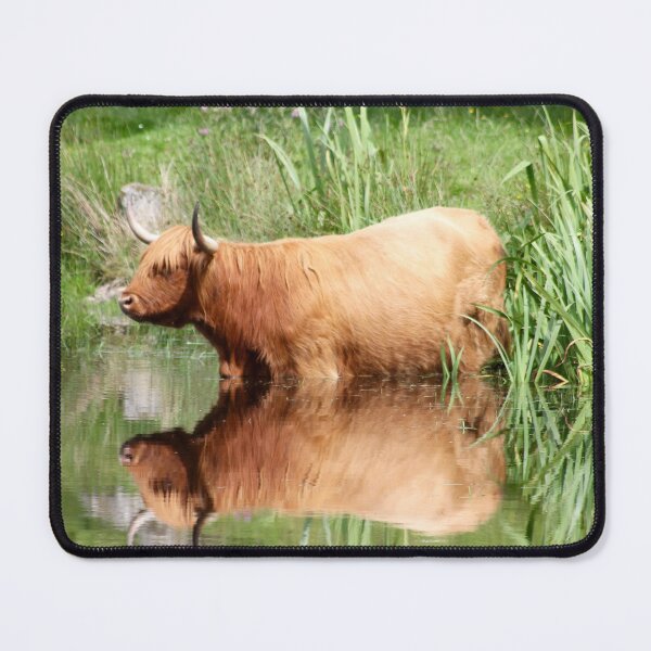 Item preview, highland cow 1 designed and sold by mjoffe.