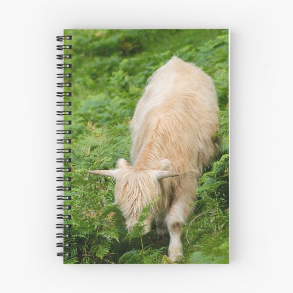 Item preview, highland cow 2 designed and sold by mjoffe.