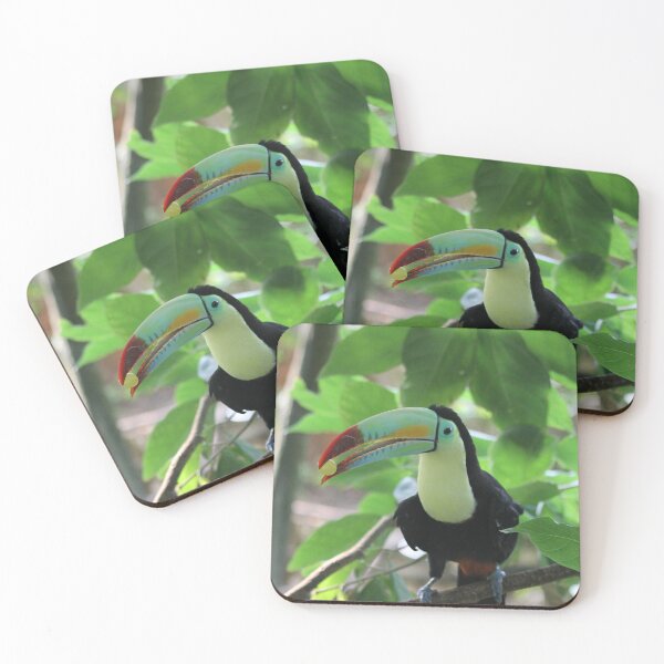 Item preview, tucan eating a grape designed and sold by mjoffe.