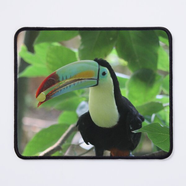 Item preview, tucan eating a grape designed and sold by mjoffe.