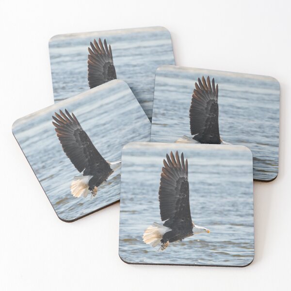 Item preview, Bald eagle soaring over the Mississippi River designed and sold by KRFNatureGifts.