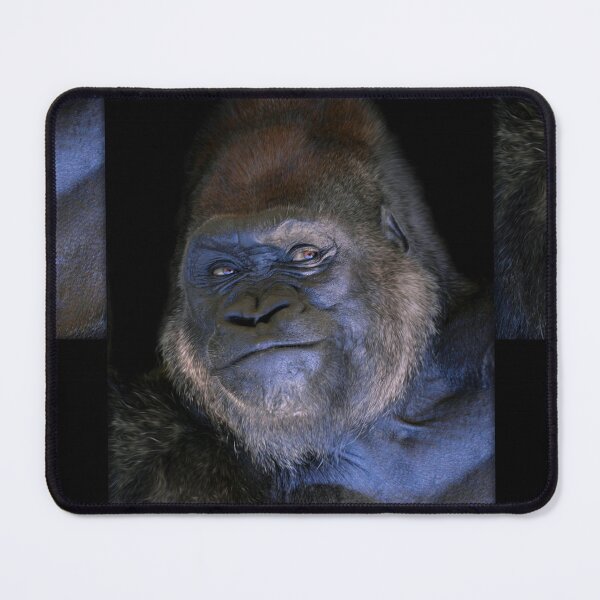 Item preview, Gorilla designed and sold by Savannah Gibbs.