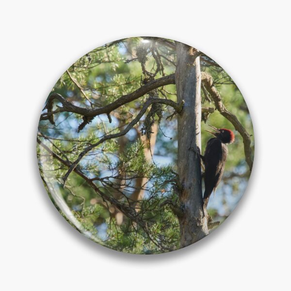 Item preview, The dead pine and Black woodpecker designed and sold by Jouko Lehto Photography.