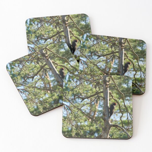 Item preview, The dead pine and Black woodpecker designed and sold by Jouko Lehto Photography.