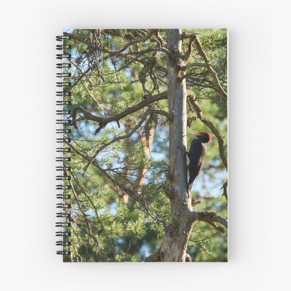 Item preview, The dead pine and Black woodpecker designed and sold by Jouko Lehto Photography.