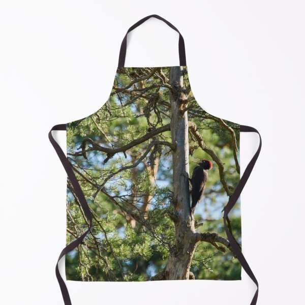 Item preview, The dead pine and Black woodpecker designed and sold by Jouko Lehto Photography.