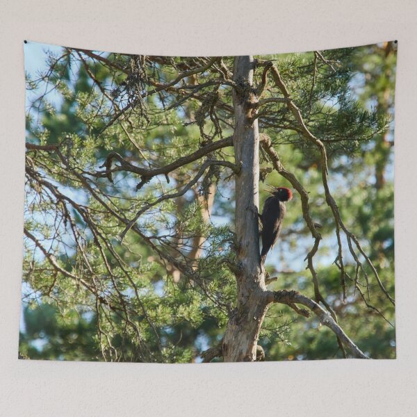 Item preview, The dead pine and Black woodpecker designed and sold by Jouko Lehto Photography.