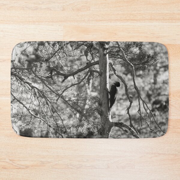 Item preview, The dead pine and Black woodpecker bw designed and sold by Jouko Lehto Photography.