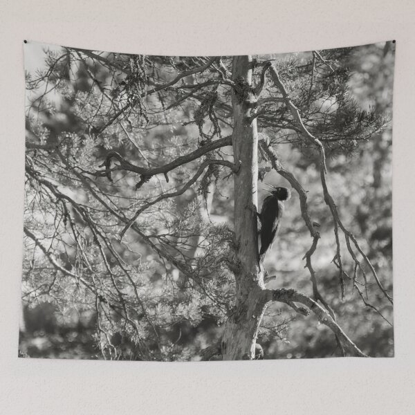 Item preview, The dead pine and Black woodpecker bw designed and sold by Jouko Lehto Photography.