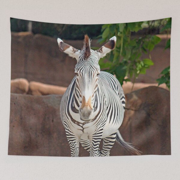 Item preview, Zebra 6930 designed and sold by Strawflower Oasis.