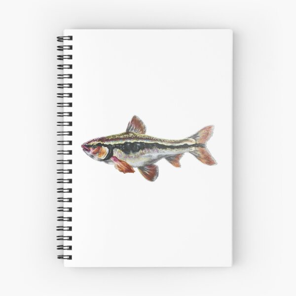 Item preview, Bleeding Shiner designed and sold by Aubree Parkinson.