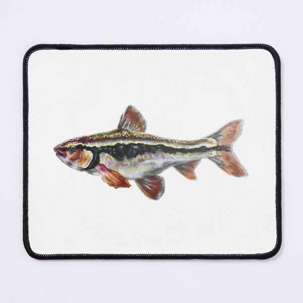 Item preview, Bleeding Shiner designed and sold by Aubree Parkinson.